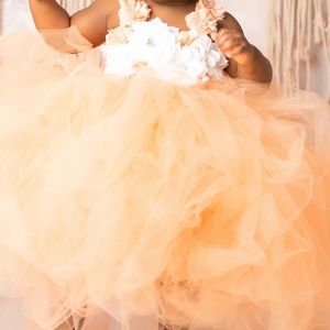 Party Princess Birthday Flower girl dress